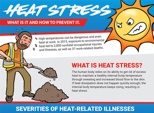 Heat Stress: What Is It and How to Prevent It