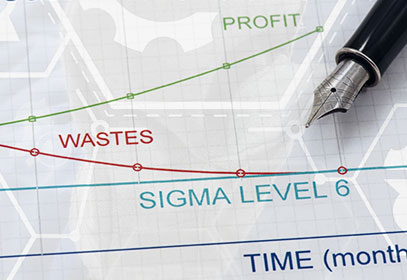 Six Sigma Principles